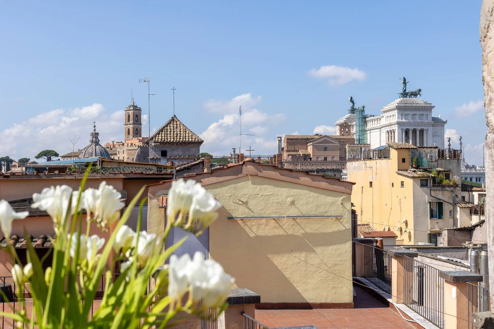 Vista sui tetti del centro, col Vittoriano sullo sfondo e fiori bianchi in primo piano