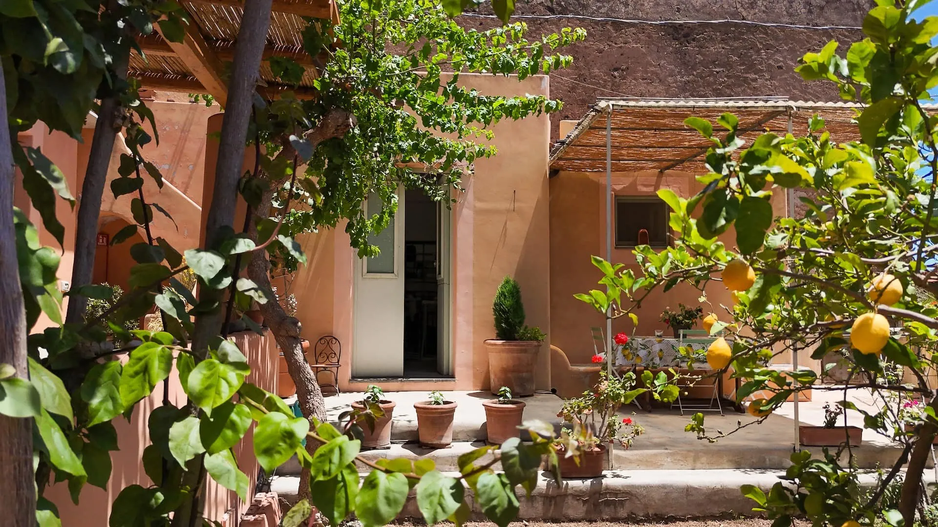 Giardino con i limoni davanti alla casa, sotto il pergolato